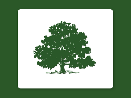 Featured Image Fallback